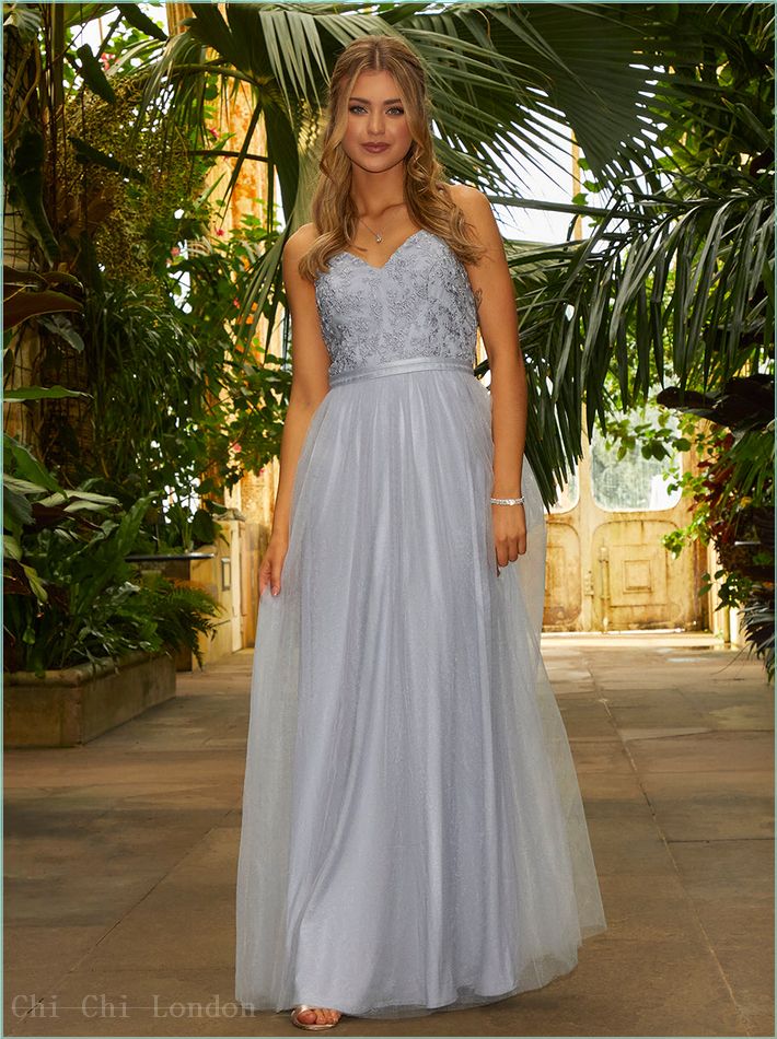  Cami Embroidered Tulle Maxi Dress in Blue 20235BL