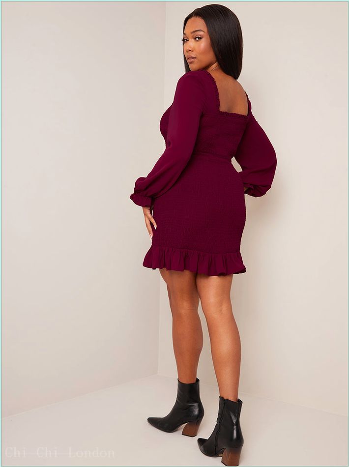  Long Sleeve Shirred Mini Dress in Wine CT1040WI