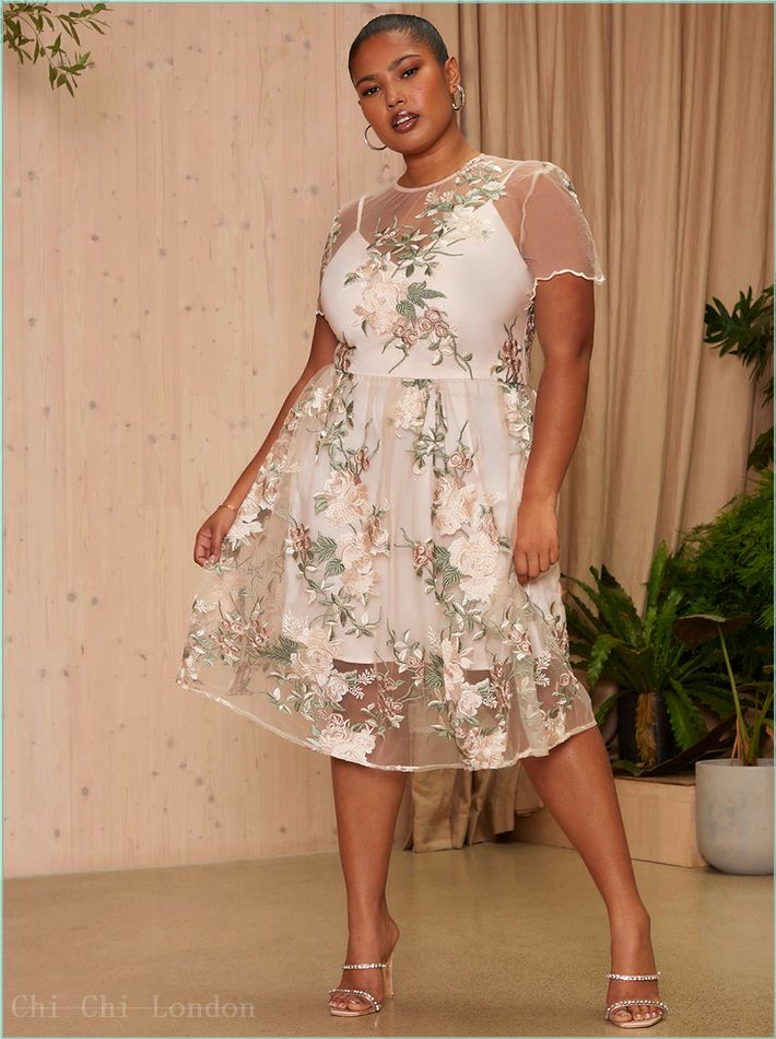  Plus Size Floral Embroidered Mesh Overlay Midi Dress in Nude 70248CNU