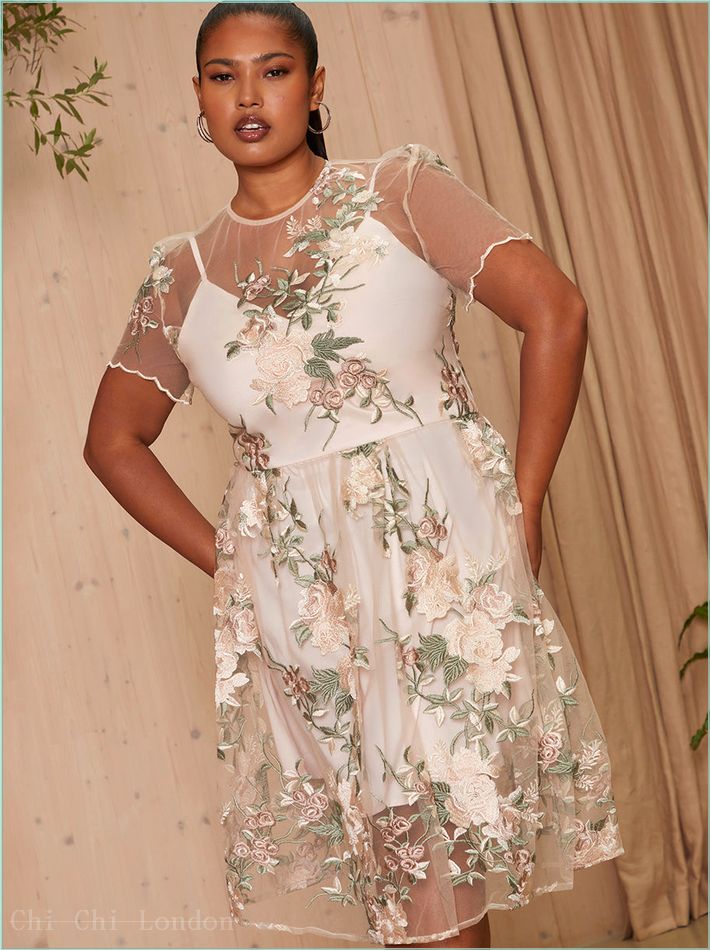  Plus Size Floral Embroidered Mesh Overlay Midi Dress in Nude 70248CNU