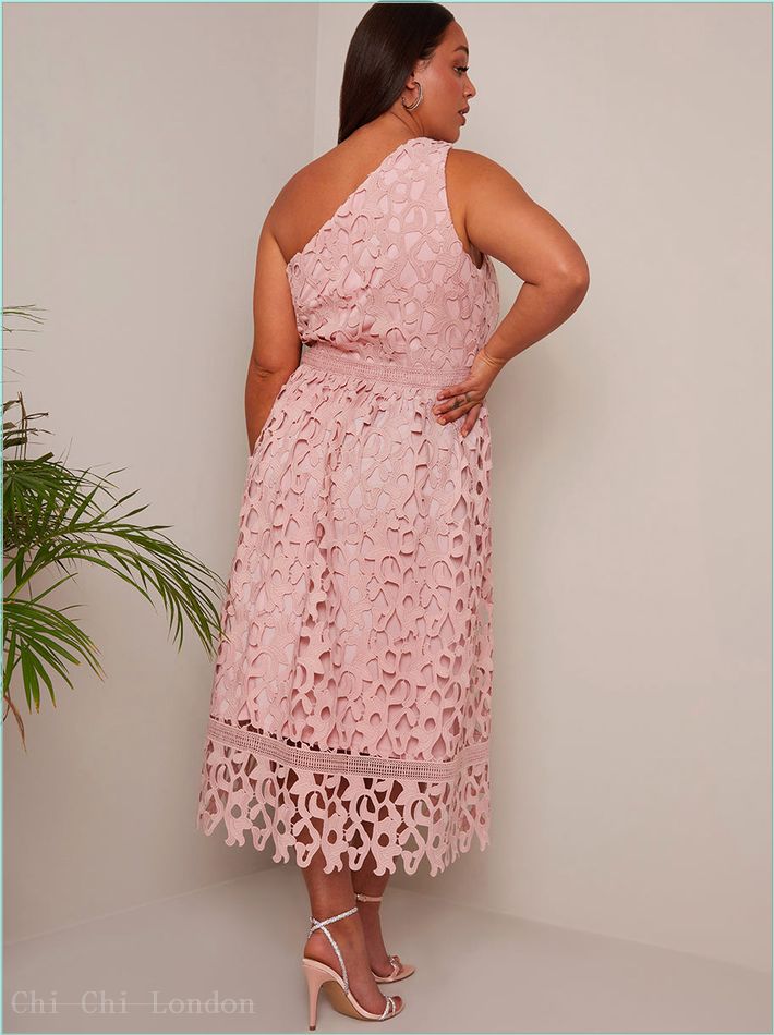  Plus Size One Shoulder Premium Lace Midi Dress in Blush MO0008CBU