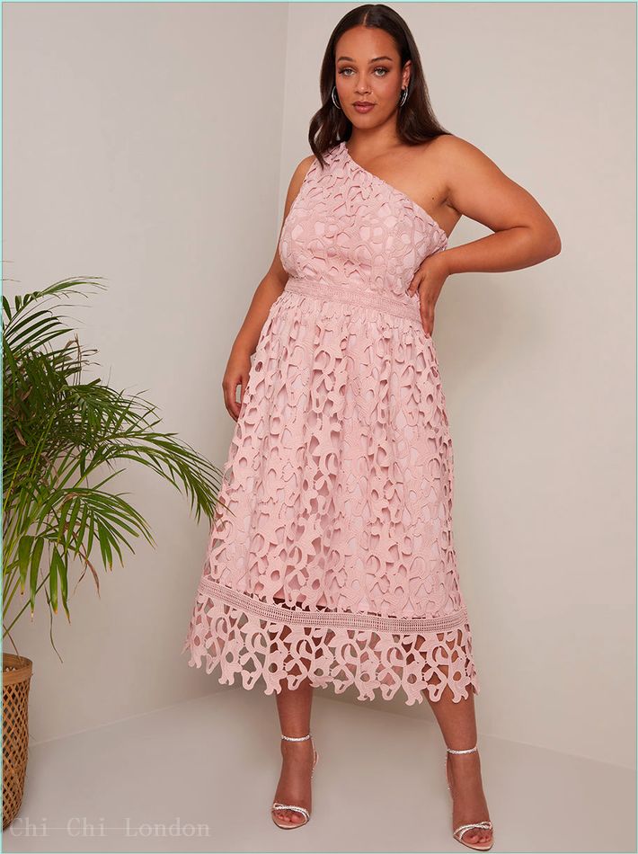  Plus Size One Shoulder Premium Lace Midi Dress in Blush MO0008CBU