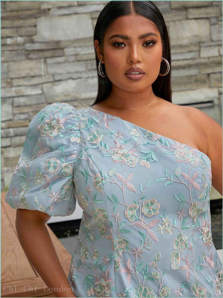  Plus Size One-Shoulder Puff Sleeve Floral Mini Dress in Blue 71276CMU